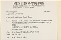 登錄號:F0036924藏品圖，第2張
