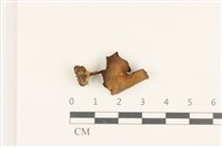 登錄號:F0036924藏品圖，第1張