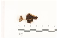 登錄號:F0036924藏品圖，第3張