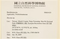 小菇屬藏品圖，第2張