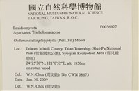 登錄號:F0036927藏品圖，第2張