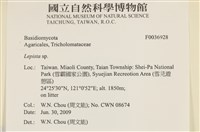 登錄號:F0036928藏品圖，第2張