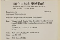 登錄號:F0036929藏品圖，第2張