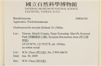 登錄號:F0036930藏品圖，第2張