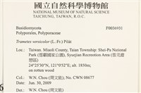 雲芝藏品圖，第2張
