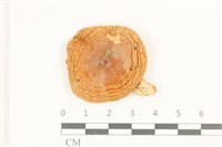 登錄號:F0036935藏品圖，第1張