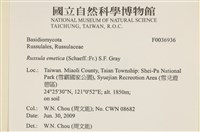 登錄號:F0036936藏品圖，第2張