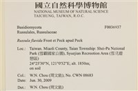 登錄號:F0036937藏品圖，第2張