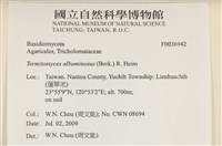 登錄號:F0036942藏品圖，第2張