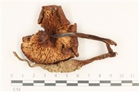登錄號:F0036942藏品圖，第3張