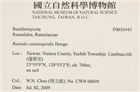 登錄號:F0036943藏品圖，第2張