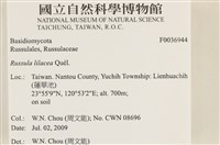 登錄號:F0036944藏品圖，第2張