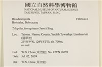 登錄號:F0036945藏品圖，第2張