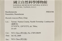 登錄號:F0036946藏品圖，第2張