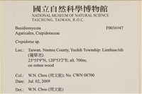 登錄號:F0036947藏品圖，第2張