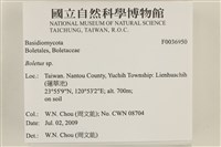 登錄號:F0036950藏品圖，第2張