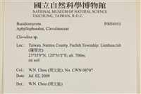 登錄號:F0036953藏品圖，第2張