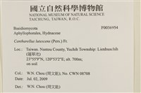 登錄號:F0036954藏品圖，第2張