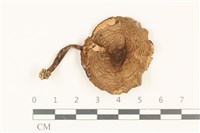 登錄號:F0036956藏品圖，第1張