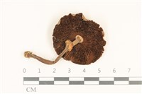 登錄號:F0036956藏品圖，第3張