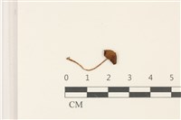登錄號:F0036957藏品圖，第1張