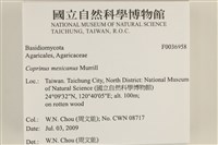 登錄號:F0036958藏品圖，第2張