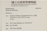 登錄號:F0036959藏品圖，第2張