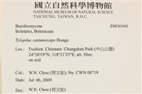 登錄號:F0036960藏品圖，第2張