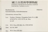 登錄號:F0036961藏品圖，第2張
