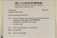 登錄號:F0036962藏品圖，第2張