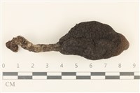 登錄號:F0036962藏品圖，第1張