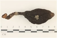 登錄號:F0036962藏品圖，第3張