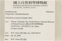 登錄號:F0036963藏品圖，第2張