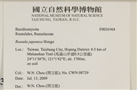 登錄號:F0036964藏品圖，第2張