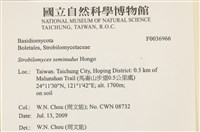 登錄號:F0036966藏品圖，第2張