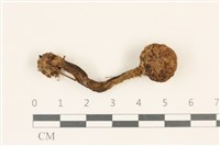 登錄號:F0036966藏品圖，第1張