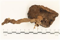 登錄號:F0036967藏品圖，第3張
