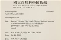 登錄號:F0036969藏品圖，第2張