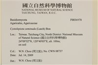 登錄號:F0036970藏品圖，第2張