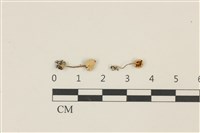 登錄號:F0036970藏品圖，第1張
