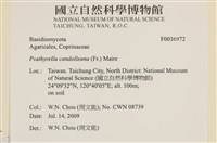 登錄號:F0036972藏品圖，第2張