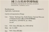 登錄號:F0036973藏品圖，第2張