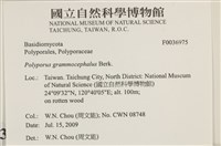 登錄號:F0036975藏品圖，第2張