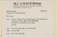 小菇屬藏品圖，第2張