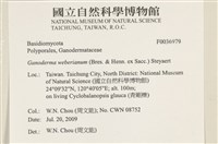 登錄號:F0036979藏品圖，第2張