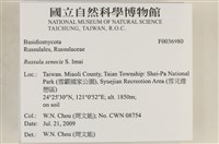 登錄號:F0036980藏品圖，第2張