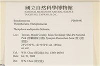 登錄號:F0036981藏品圖，第2張