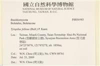 登錄號:F0036985藏品圖，第2張