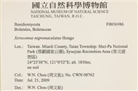 登錄號:F0036986藏品圖，第2張