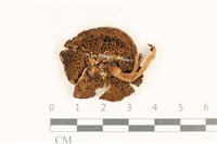 登錄號:F0036986藏品圖，第3張